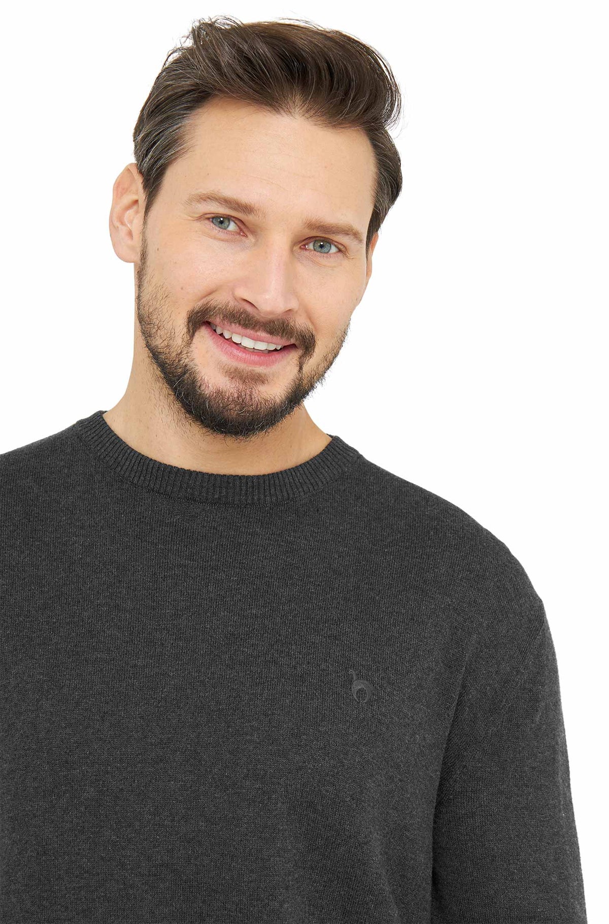 Alpaka Pullover PABLO mit Royal Alpaka-Baumwoll-Mix-anthrazit