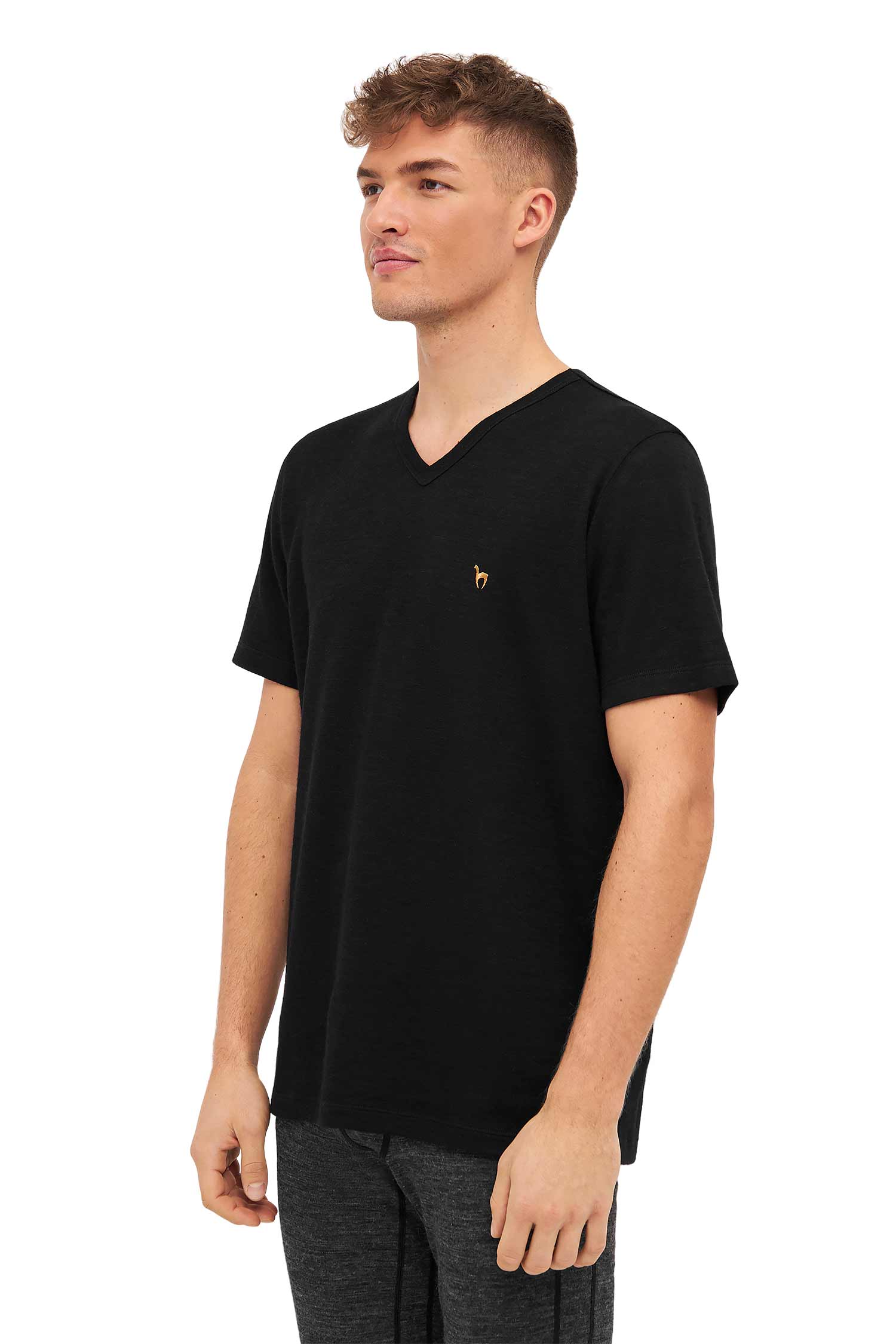 Alpaka T-Shirt THERMO-schwarz