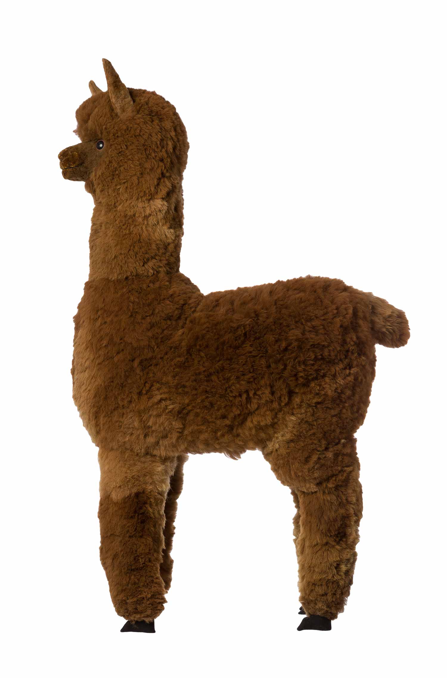 Alpaka Felltier HUACAYA 130cm-braun