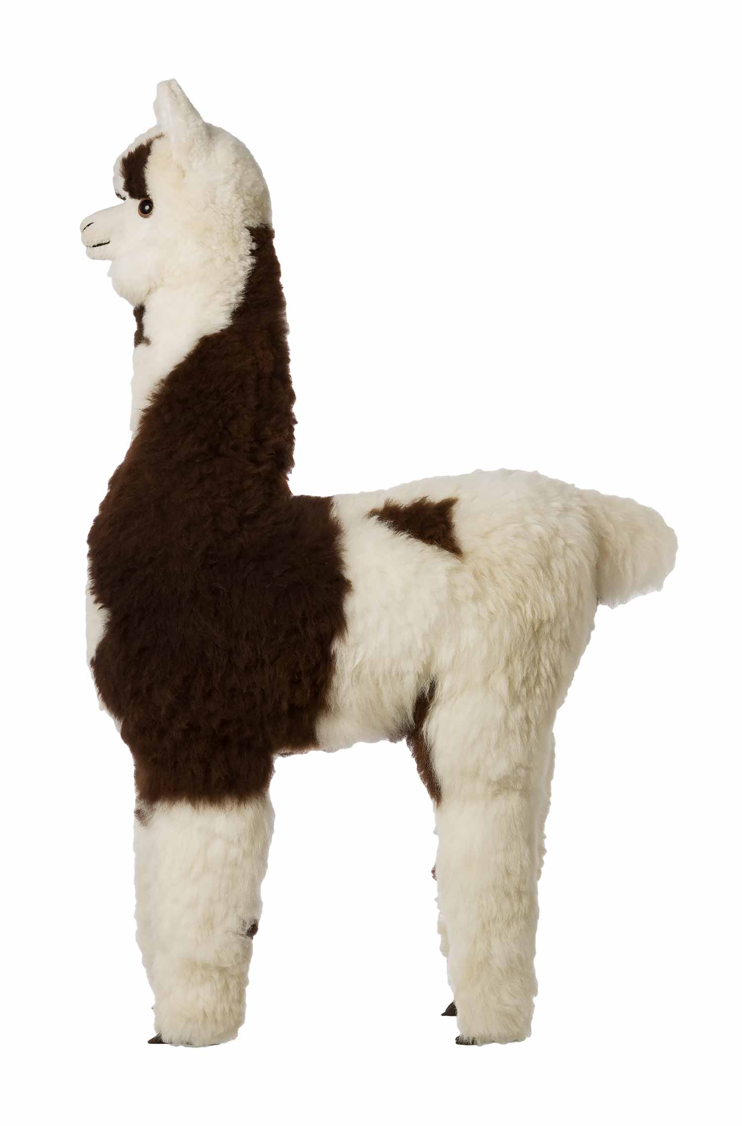 Alpaka Felltier HUACAYA 130cm-gemischt