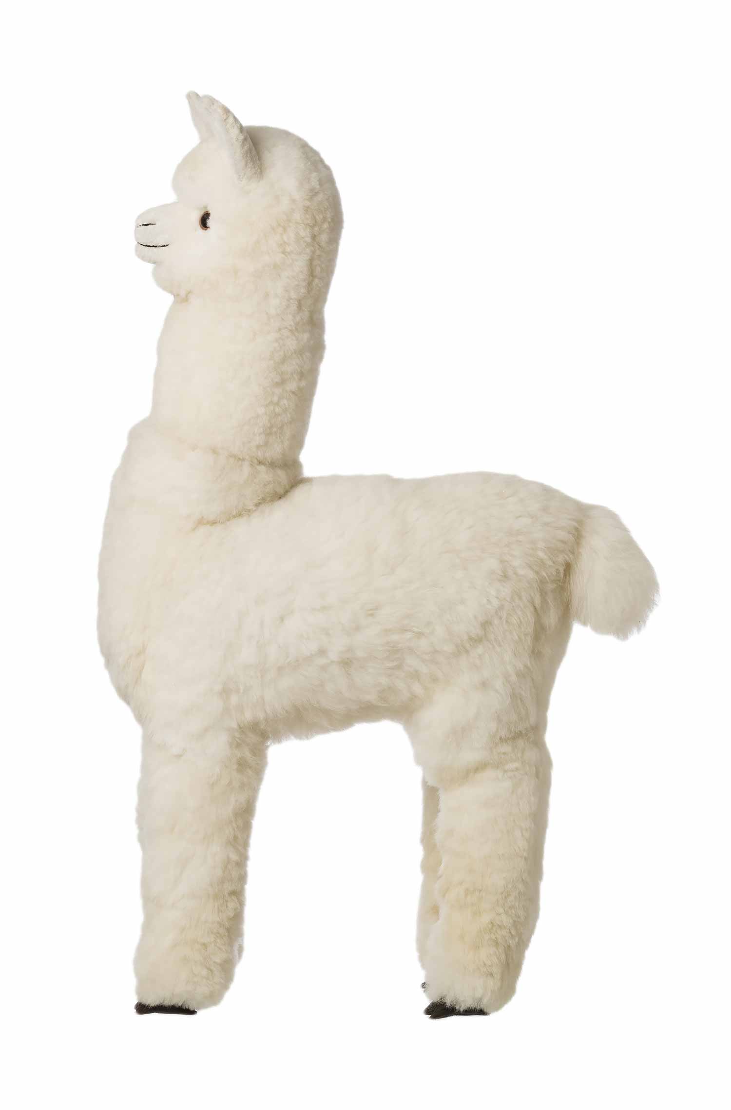 Alpaka Felltier HUACAYA 130cm-weiss