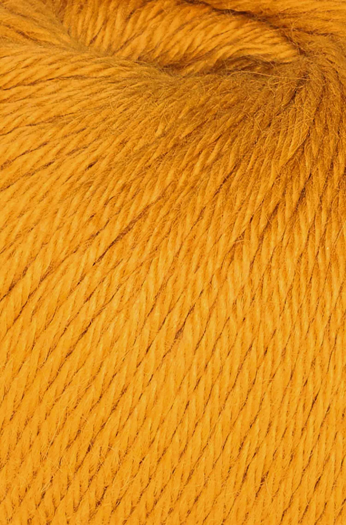 Baby Alpaka Wolle PURE | 50g-honiggelb