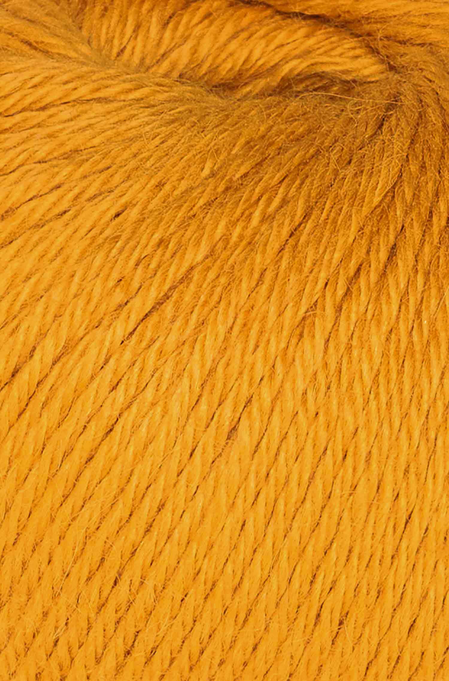 Baby Alpaka Wolle PURE | 5×50g-honiggelb