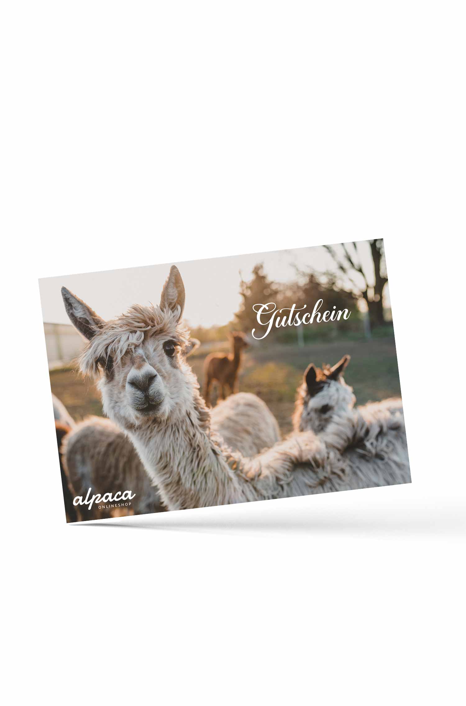Geschenkgutschein 100.--foto