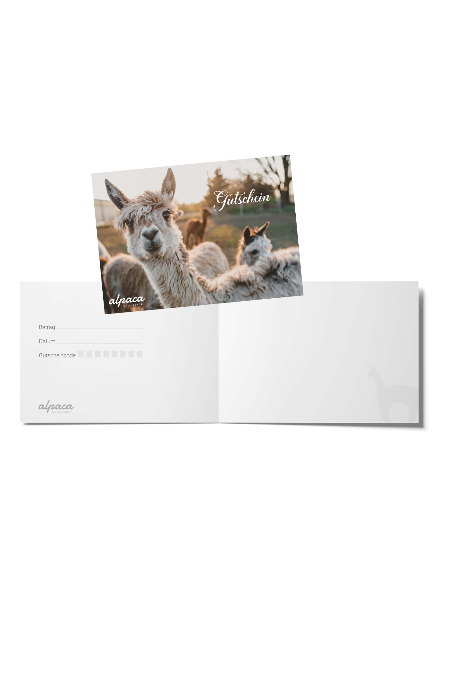 Geschenkgutschein 100.--foto