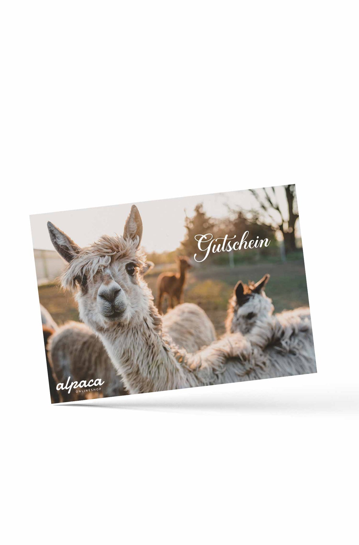 Geschenkgutschein 200.--foto