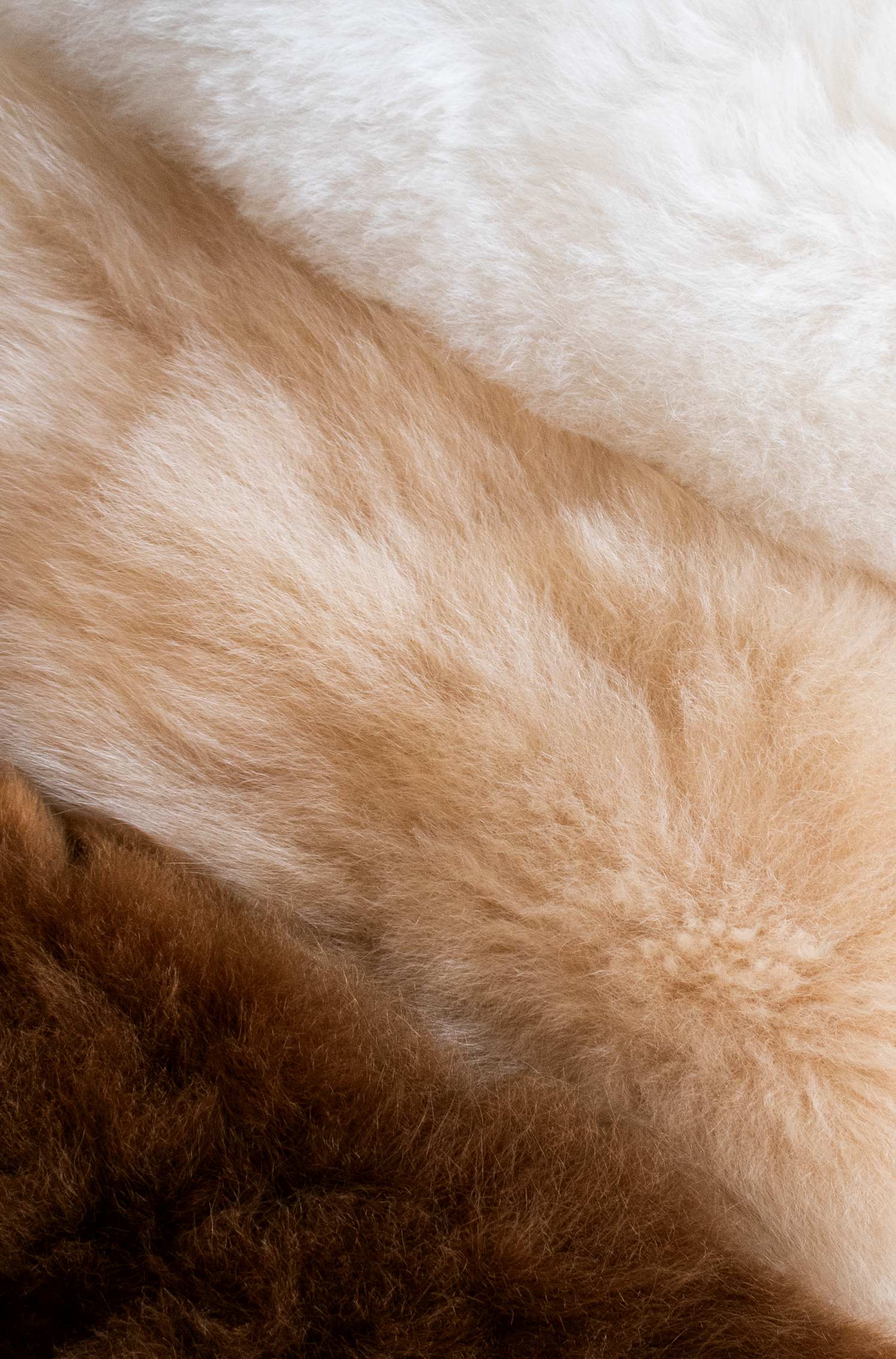 Alpaka Wärmflasche CALIENTE 0.2l-weiss