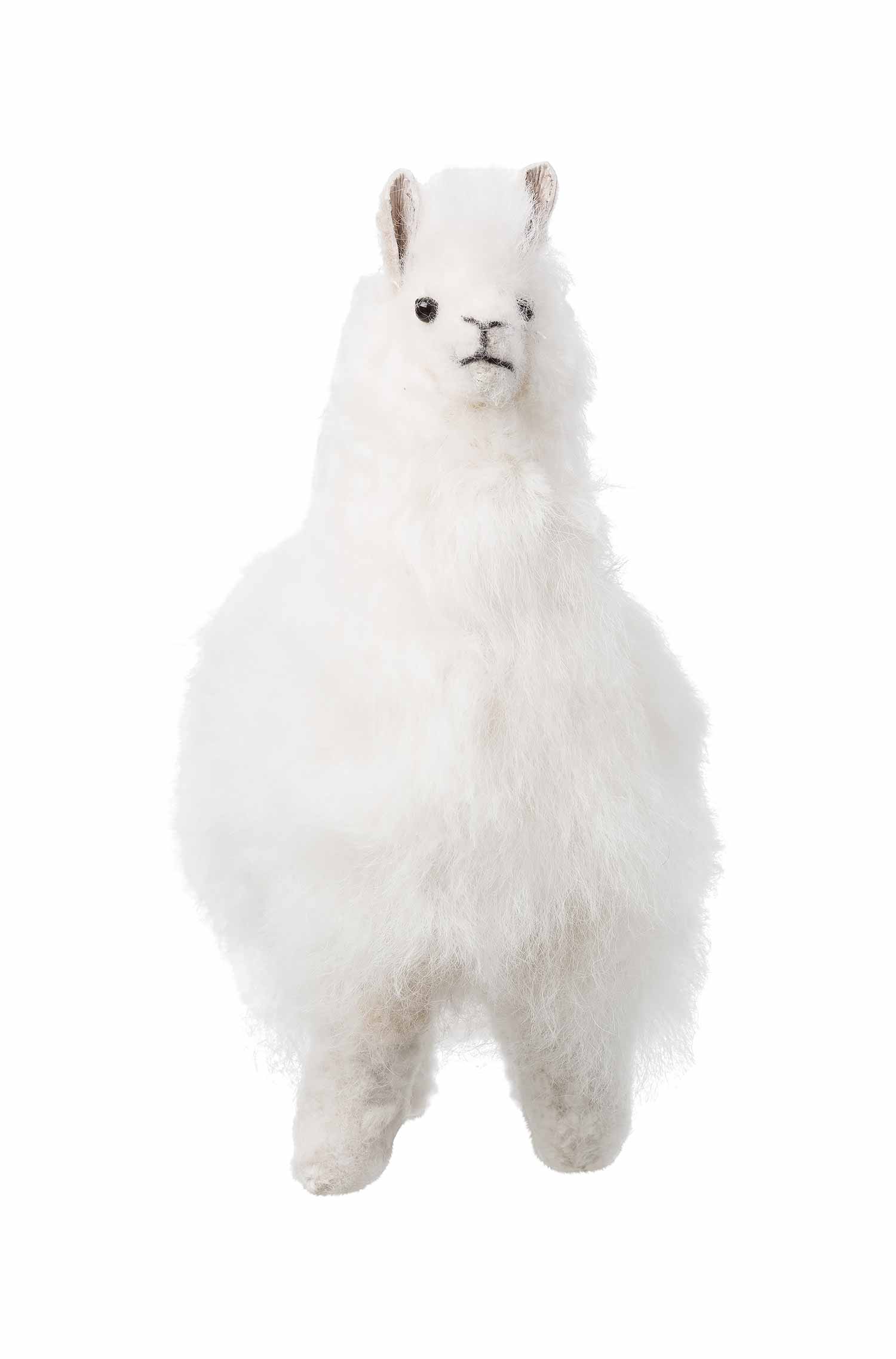 Alpaka Felltier HUACAYA 15cm-weiss