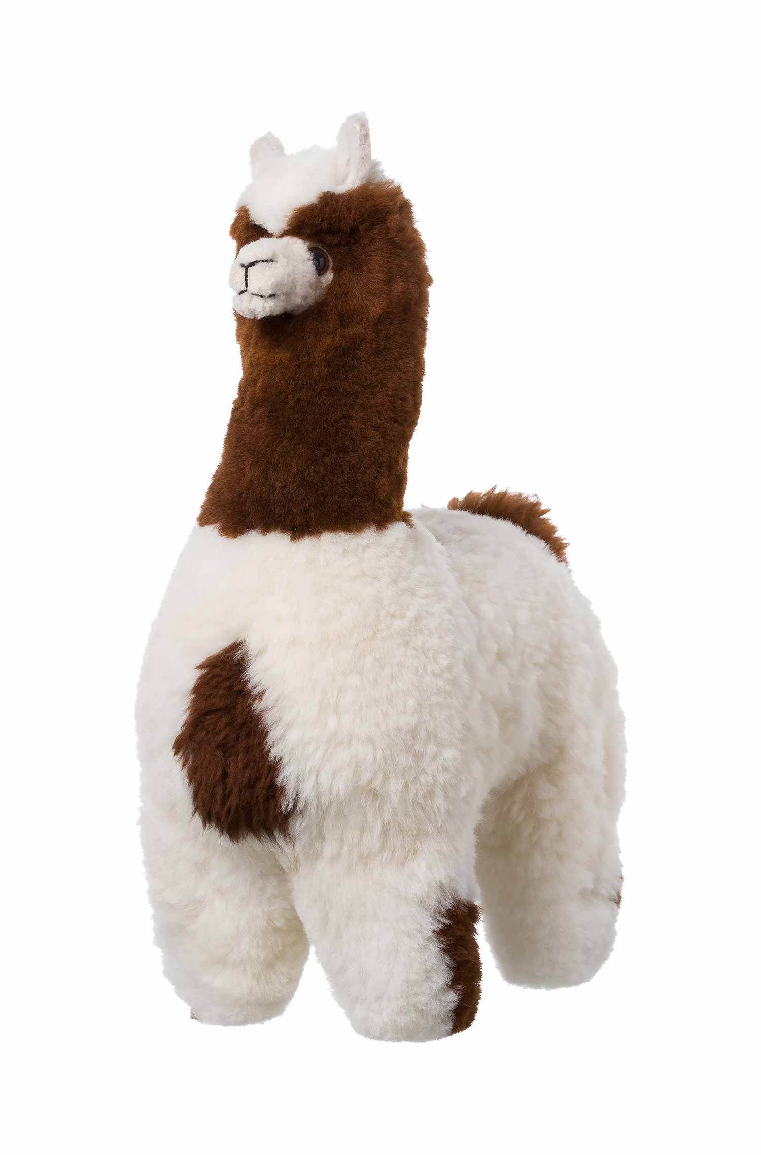 Alpaka Felltier HUACAYA 50cm-gemischt