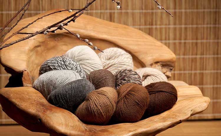 Alpaca wool - sustainable luxury fiber
